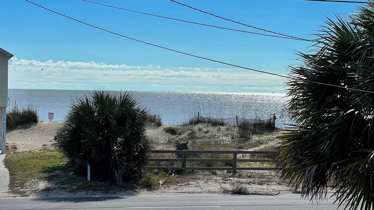 Photo of Others in Edisto Island