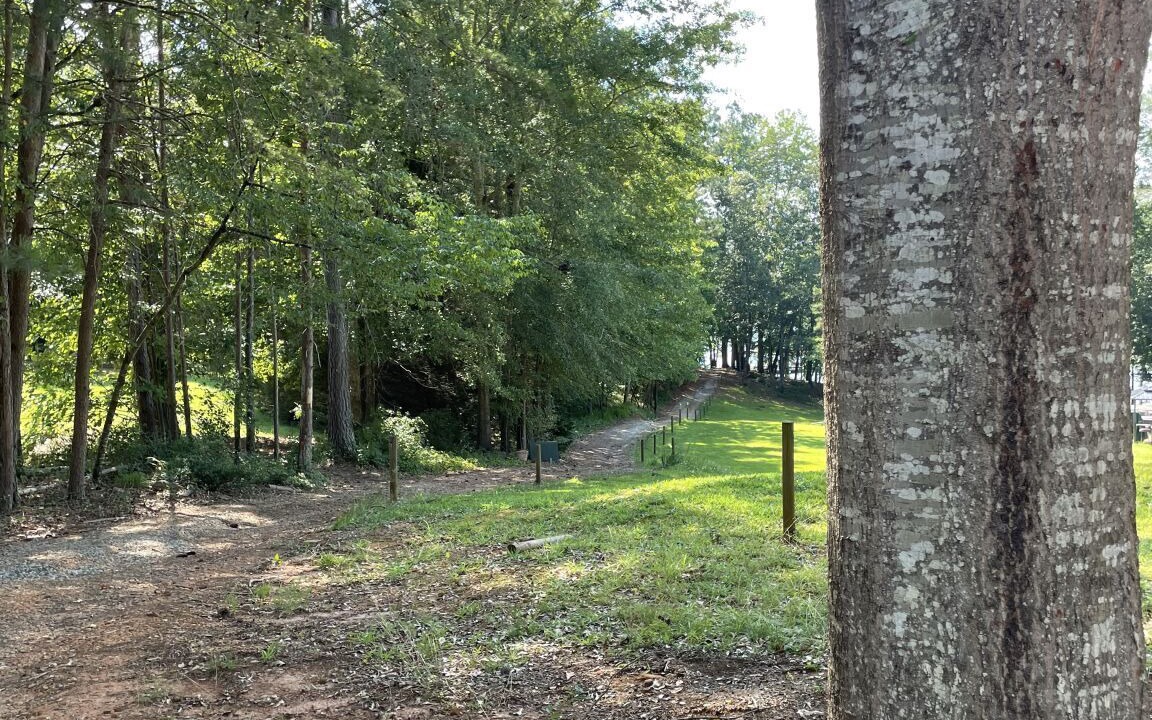 Photo of Outdoor in Westminster
