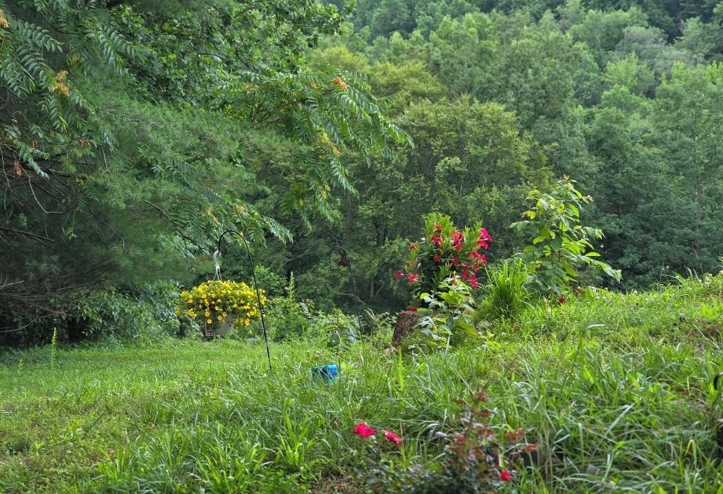 Photo of Outdoor in Baxter