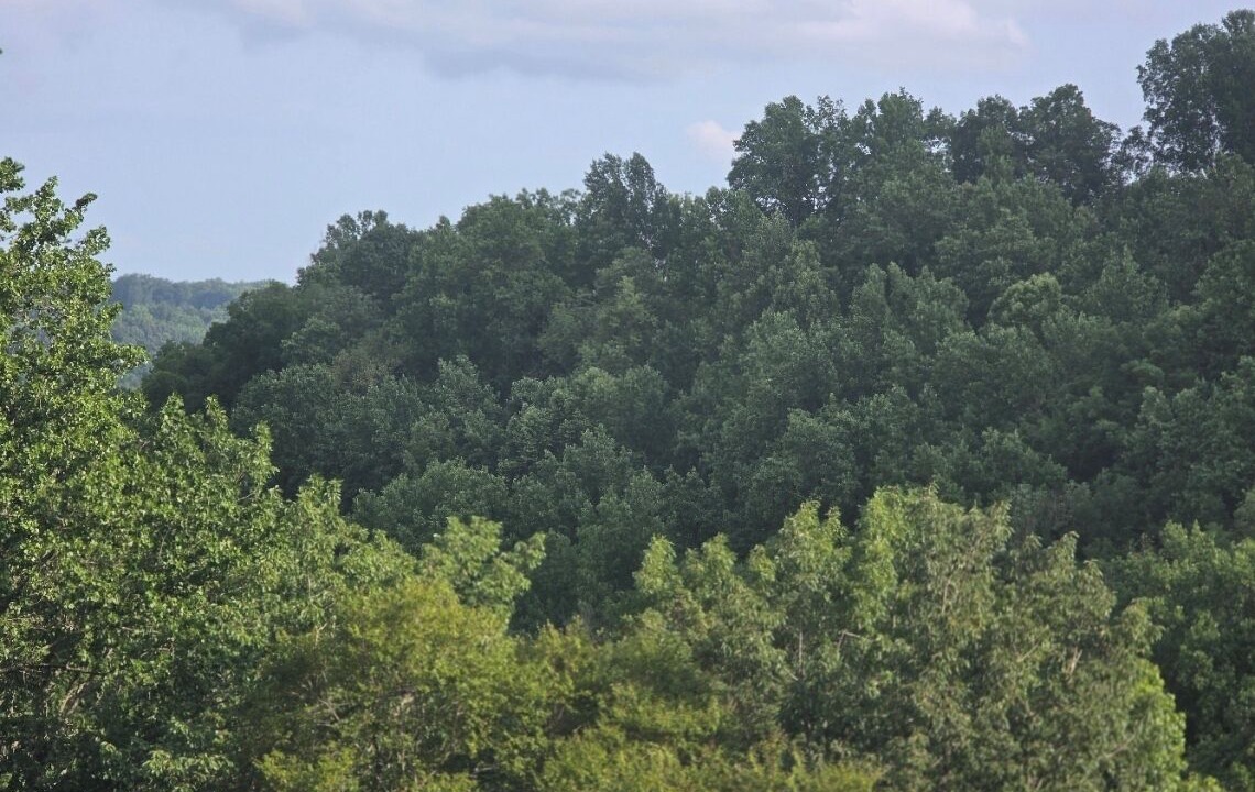 Photo of Outdoor in Baxter