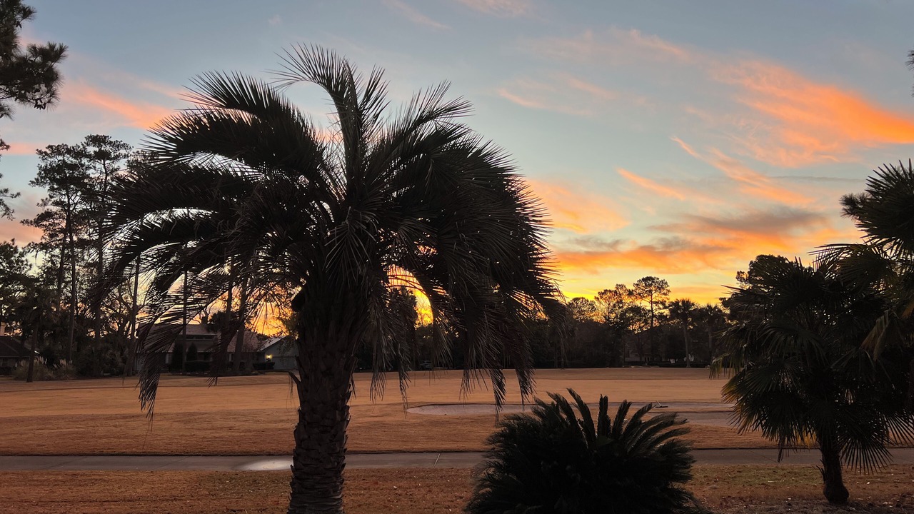 Photo of Others in Palmetto Dunes