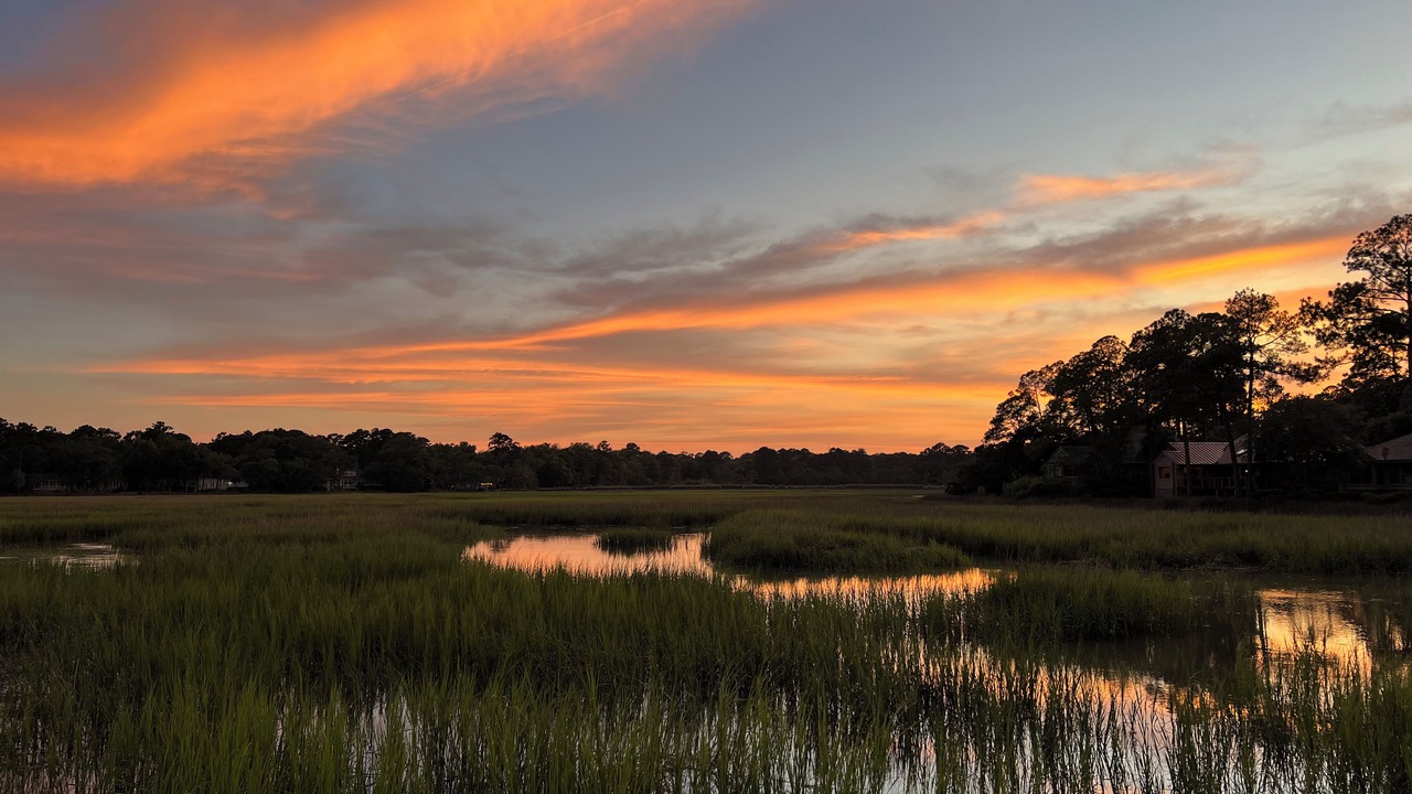 Photo of Others in Palmetto Dunes
