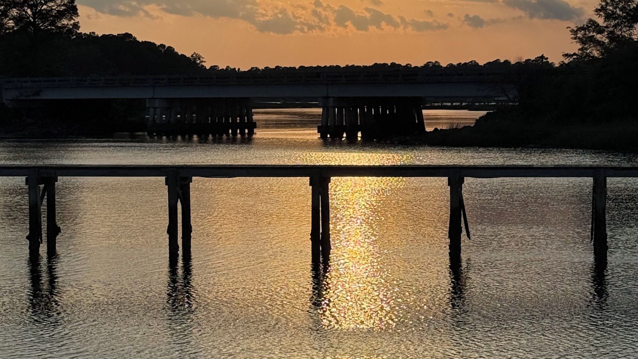 Photo of Others in Johns Island
