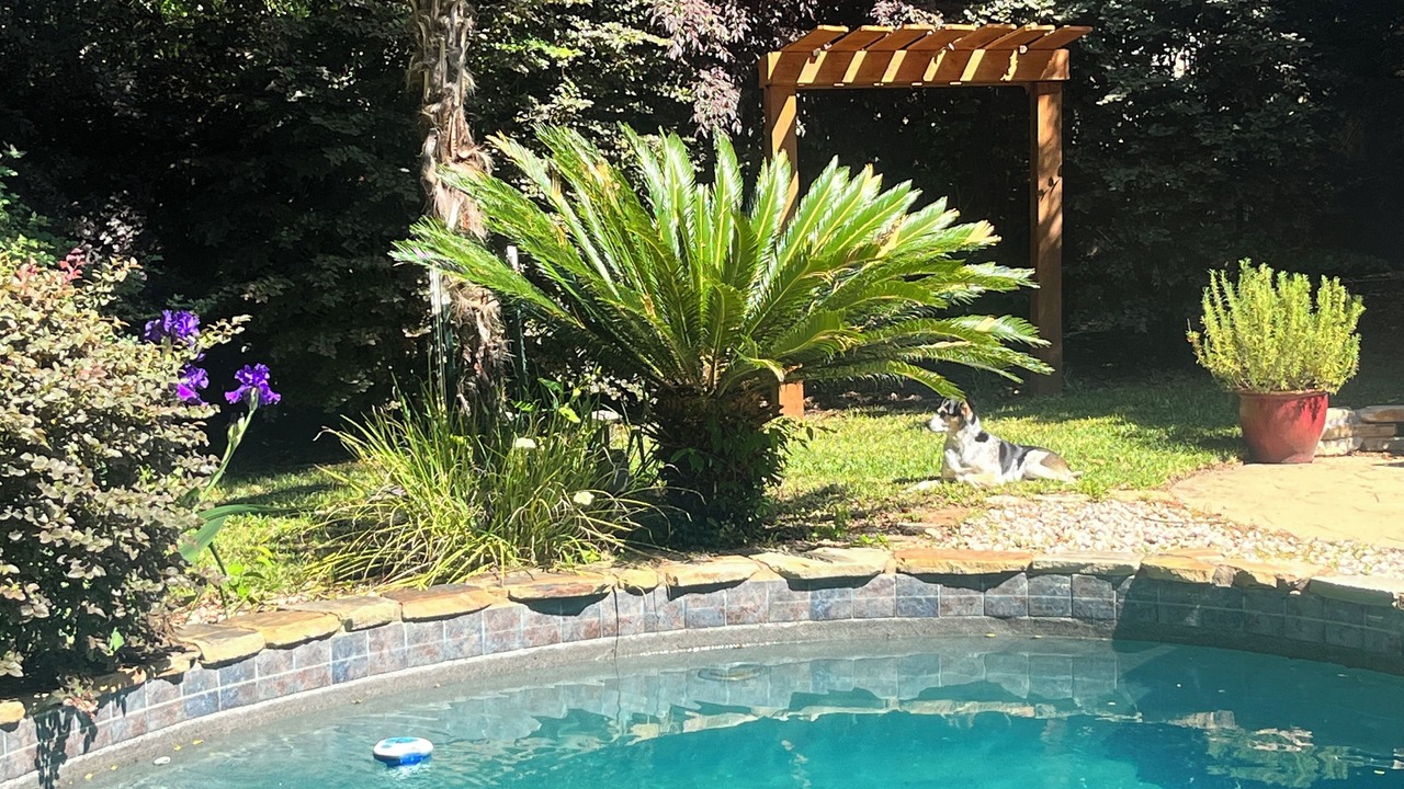 Photo of Outdoor in Plantation South