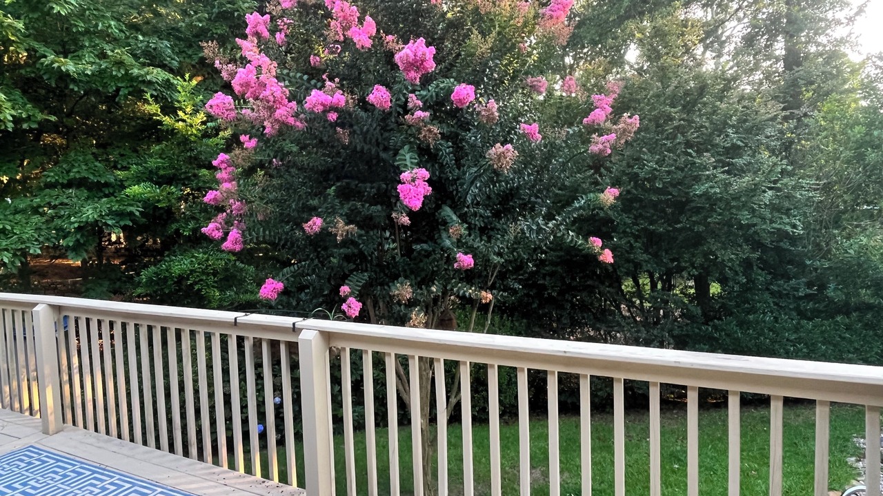 Photo of Outdoor in Plantation South