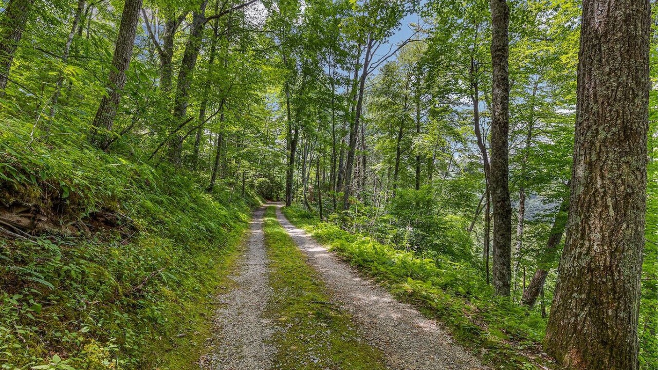 Photo of Others in Cullowhee