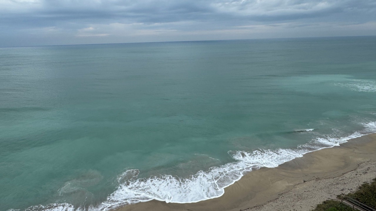 Photo of Others in Hutchinson Island South
