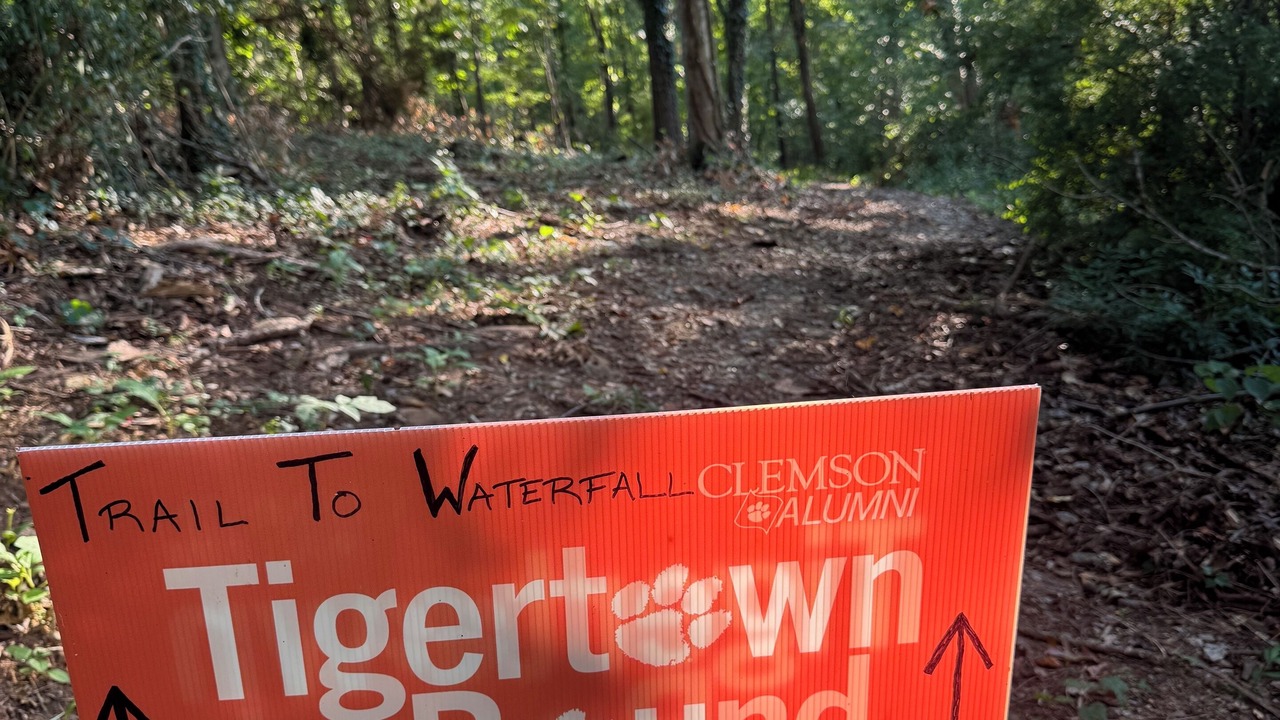 Photo of Others in Anderson