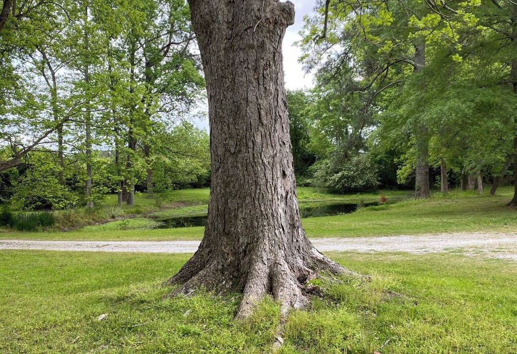 Photo of Others in New Bern