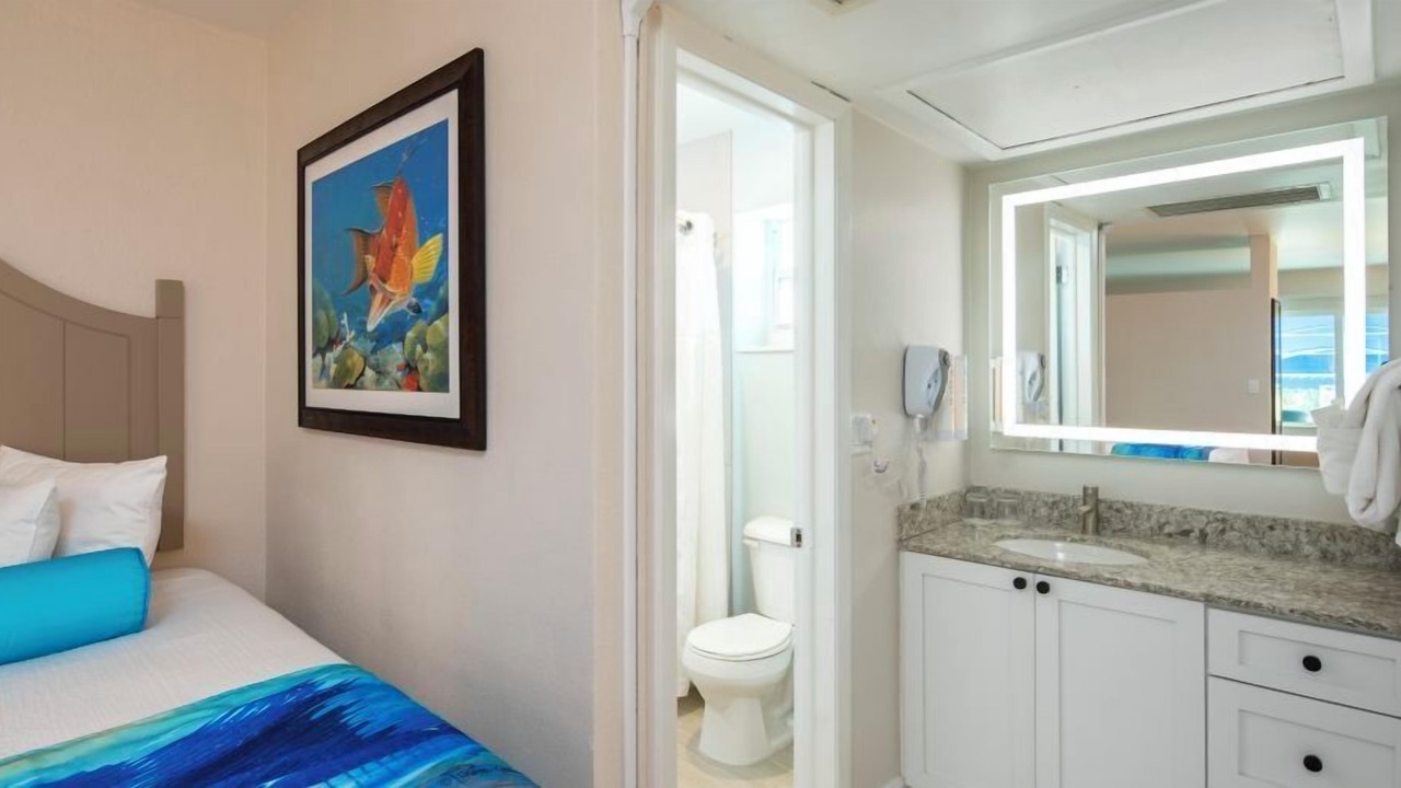 Photo of Bathroom in St. Pete Beach