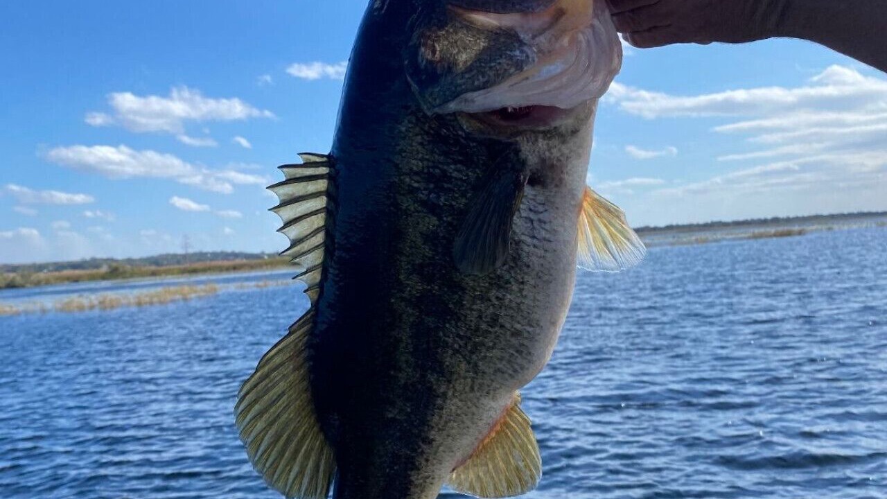 Photo of Others in Crooked Lake Park