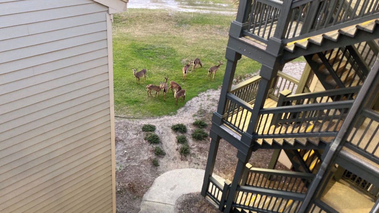 Photo of Outdoor in Saint Helena Island
