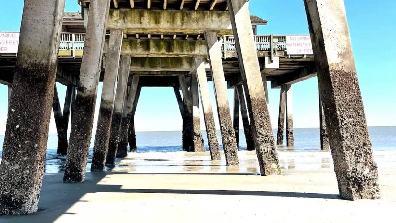 Photo of Others in Port Wentworth