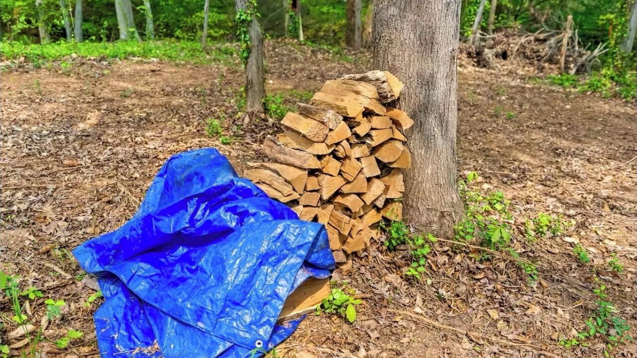 Photo of Outdoor in Southwest Raleigh