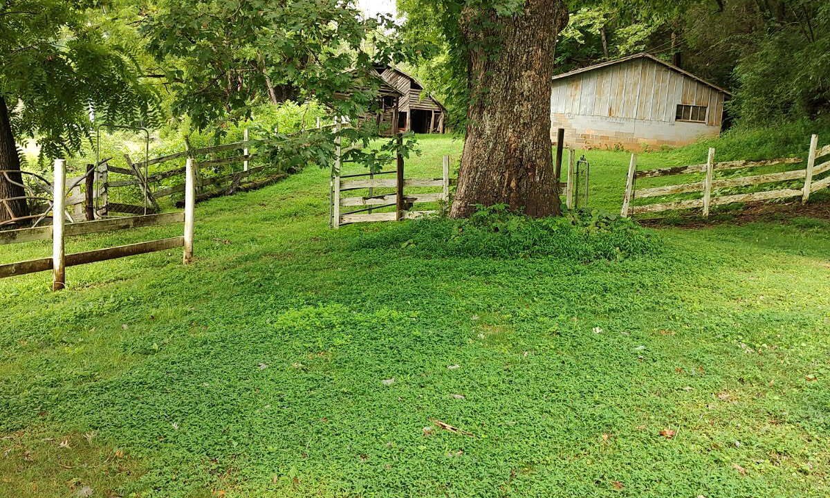 Photo of Outdoor in Franklin