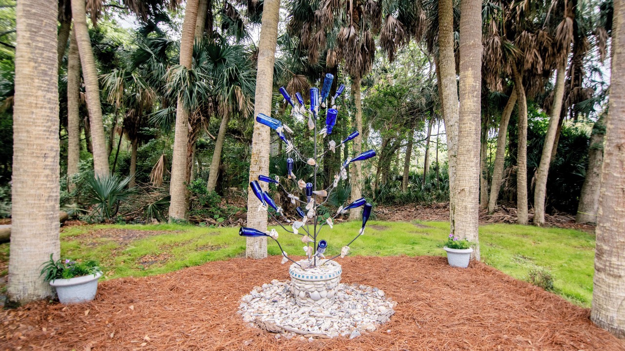 Photo of Outdoor in Edisto Island
