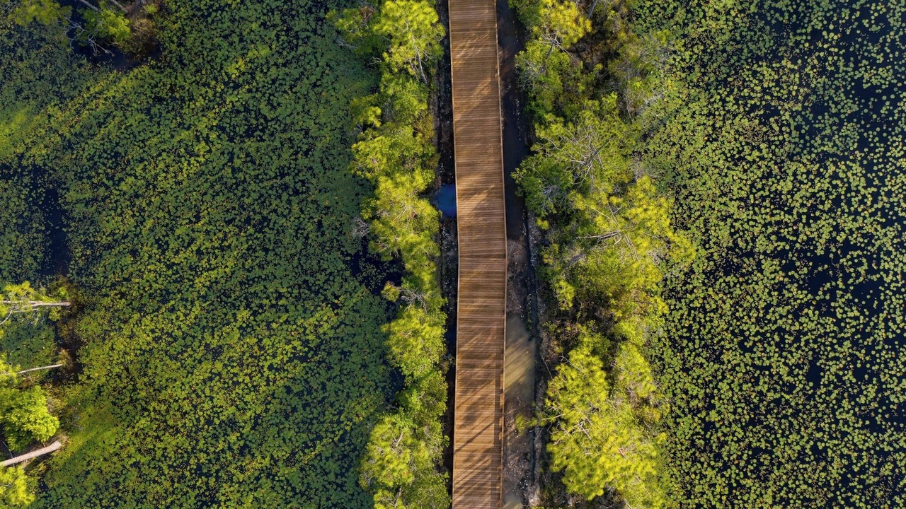 Photo of Outdoor in Yulee
