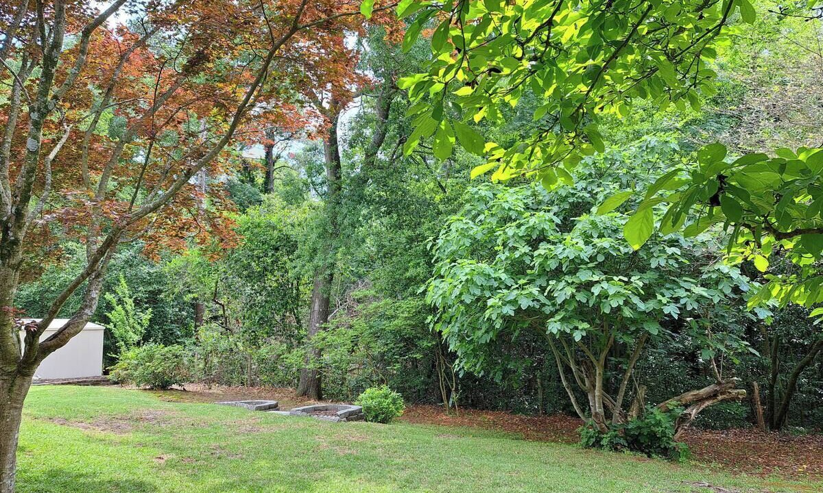 Photo of Others in North Augusta