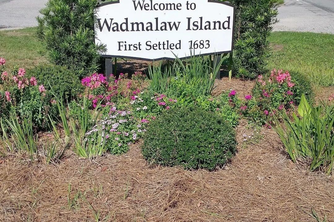 Photo of Outdoor in Wadmalaw Island