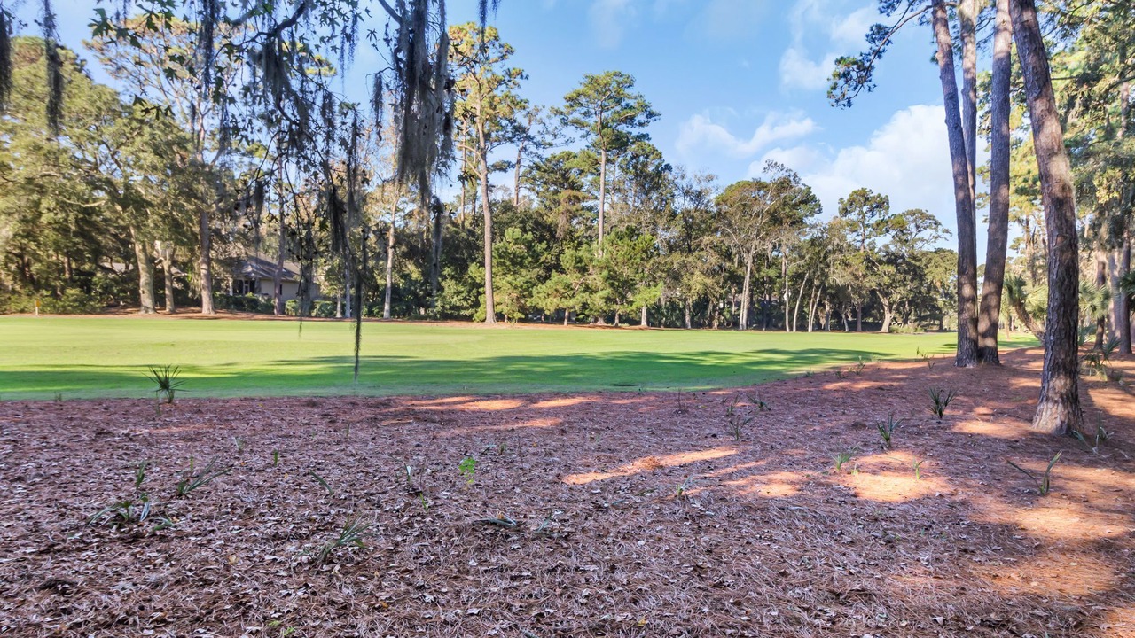 Photo of Others in Palmetto Dunes