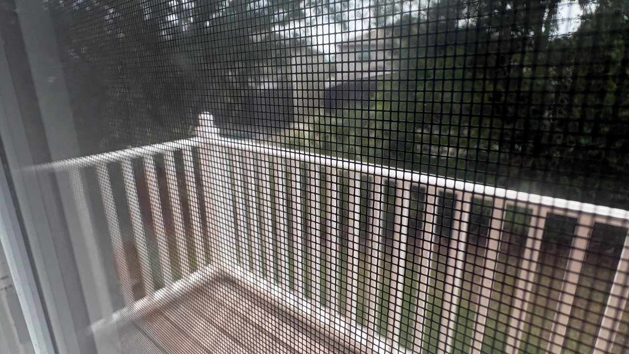 Photo of Outdoor in Seasons
