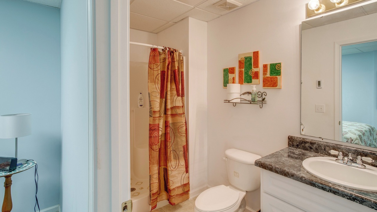 Photo of Bathroom in Chapin