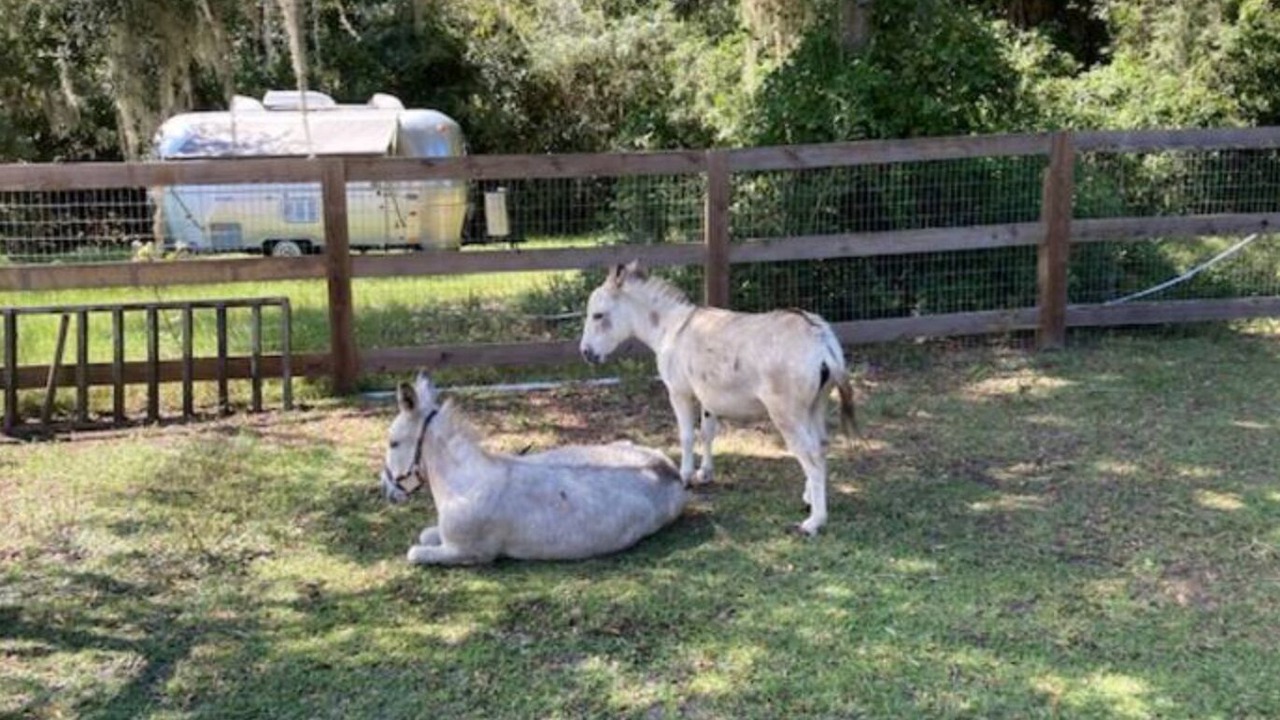 Photo of Outdoor in Yulee