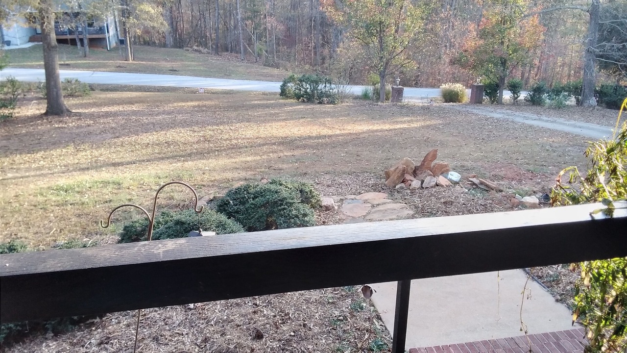 Photo of Outdoor in Seneca