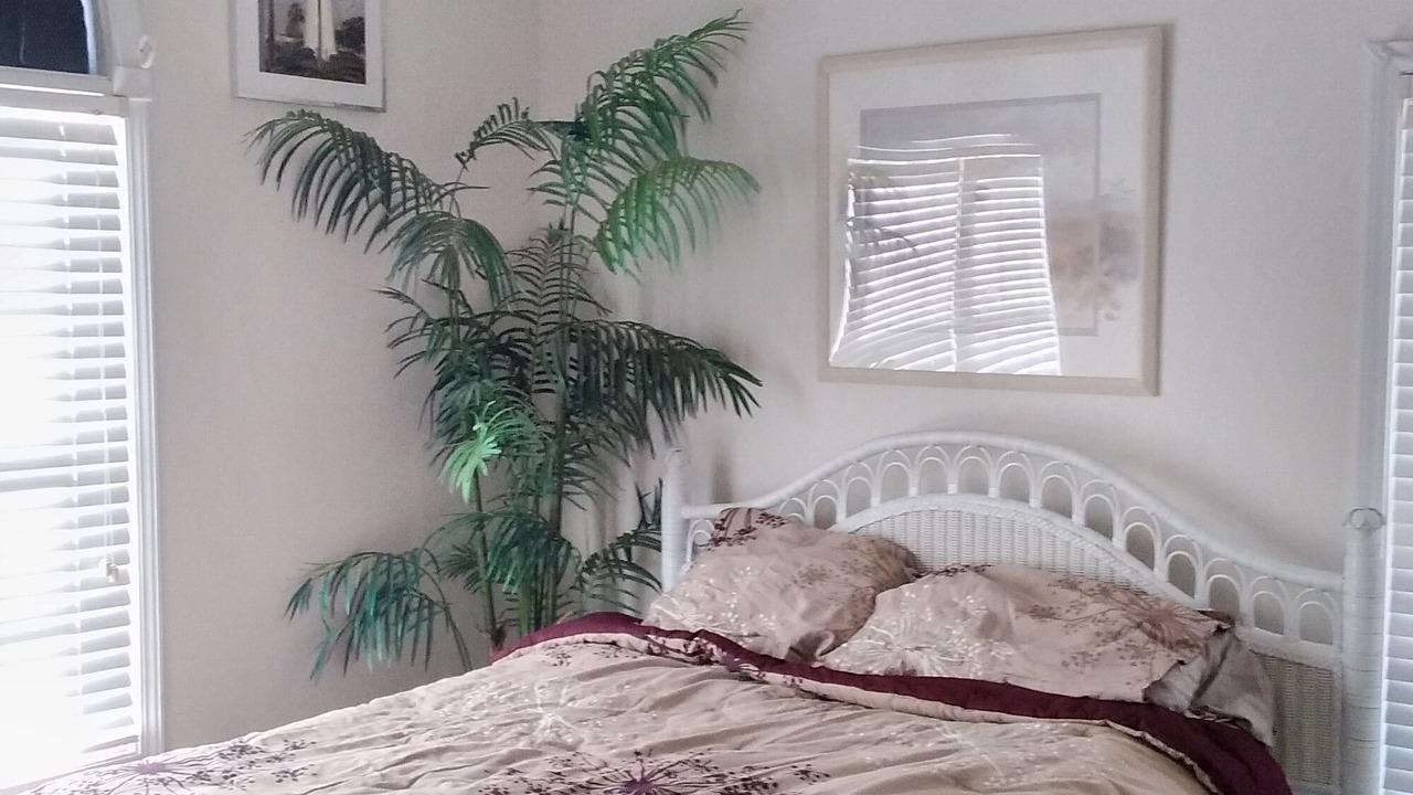 Photo of Bedroom in Seneca