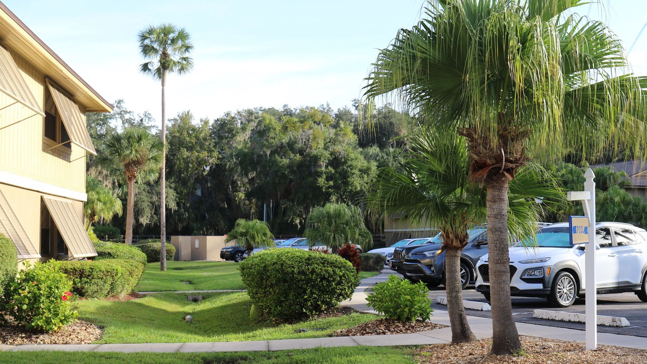 Photo of Outdoor in Deltona Lakes