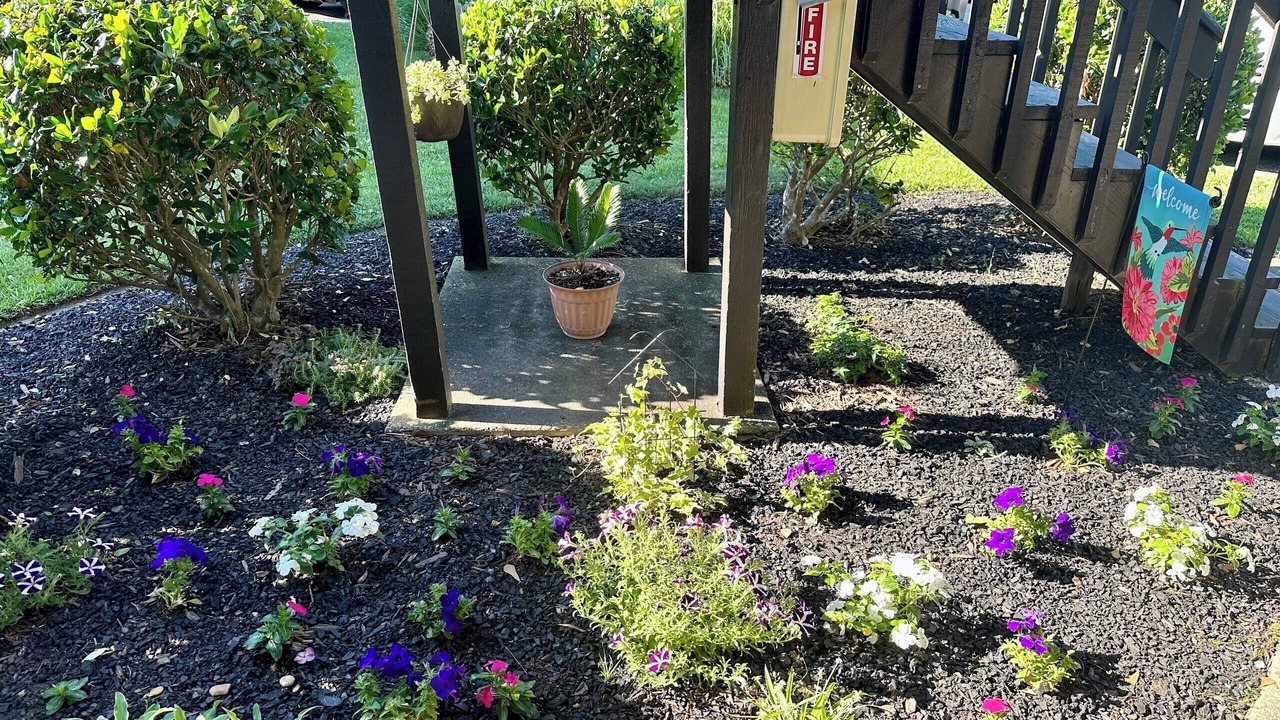 Photo of Outdoor in Surfside Beach