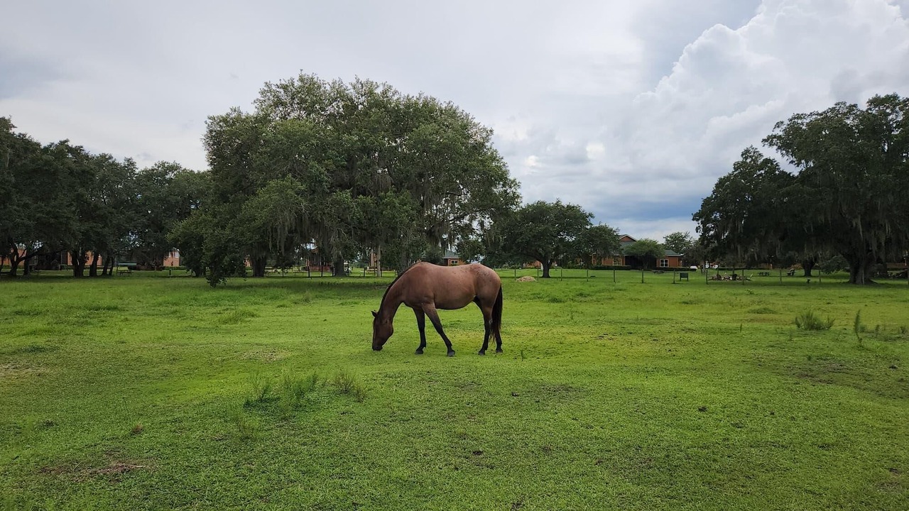 Photo of Others in River Ranch