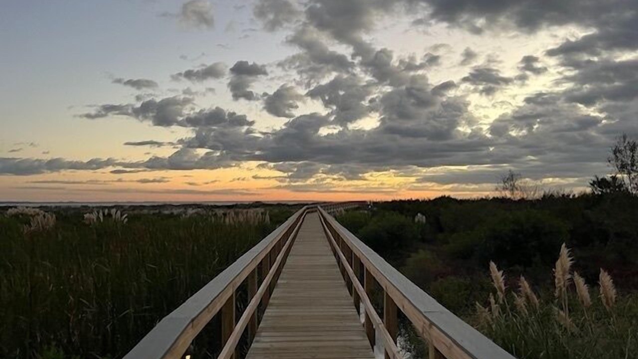 Photo of Others in Saint Helena Island