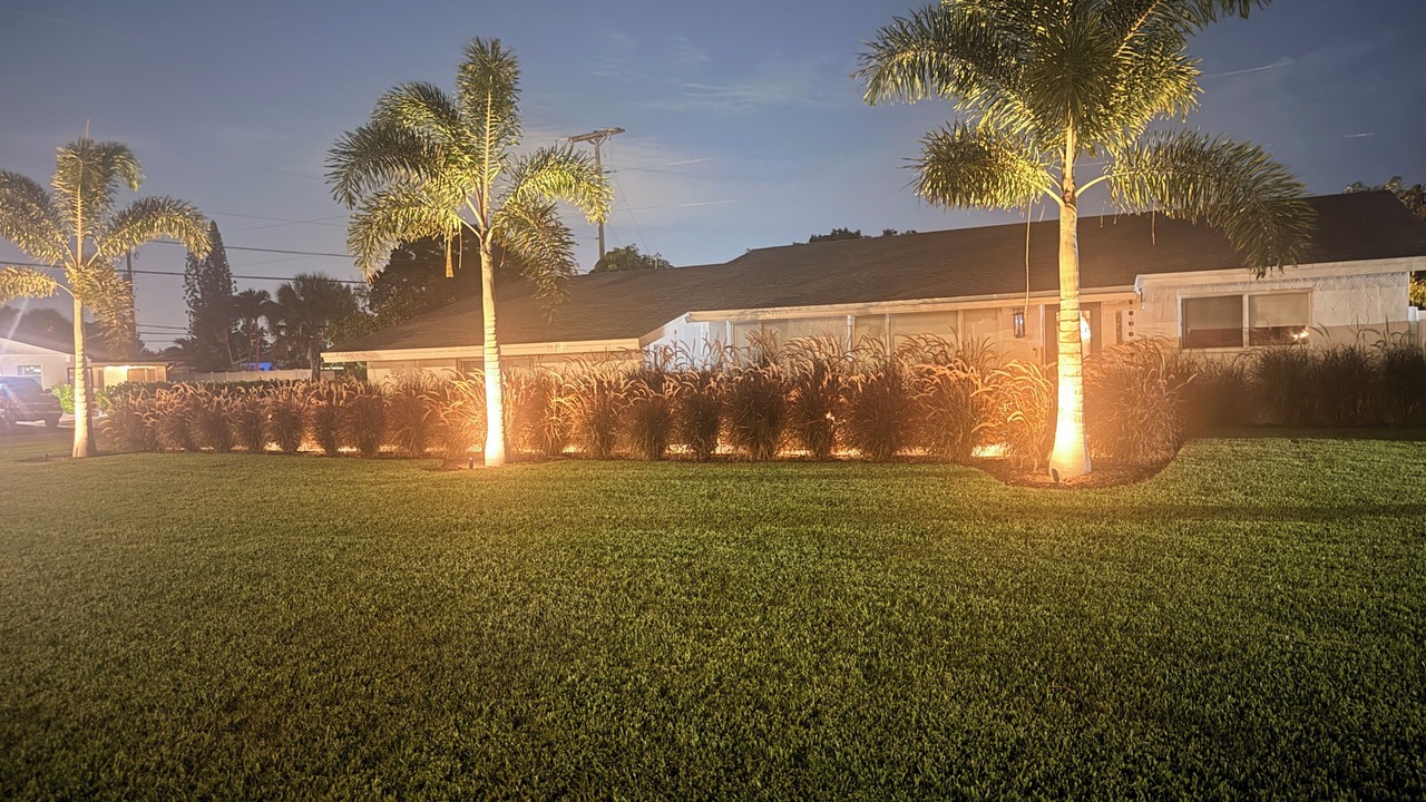 Photo of Outdoor in Tropic Palms