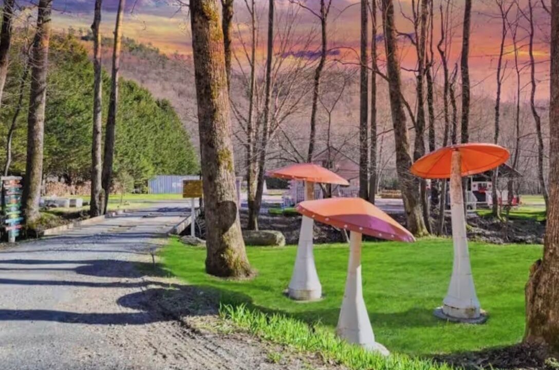 Photo of Outdoor in Hayesville