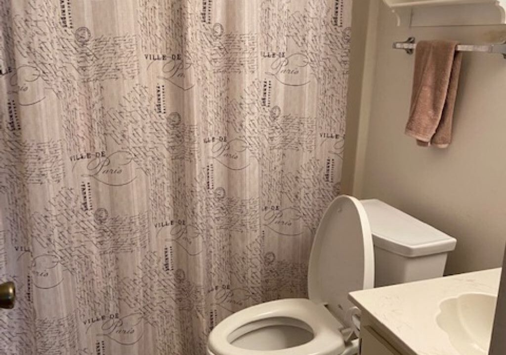 Photo of Bathroom in Lake Suzy