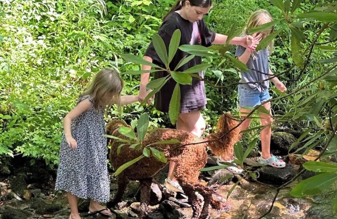 Photo of Others in Hayesville