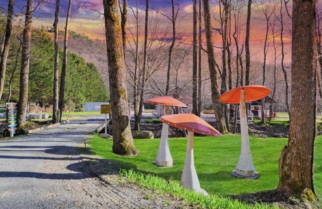 Photo of Outdoor in Hayesville