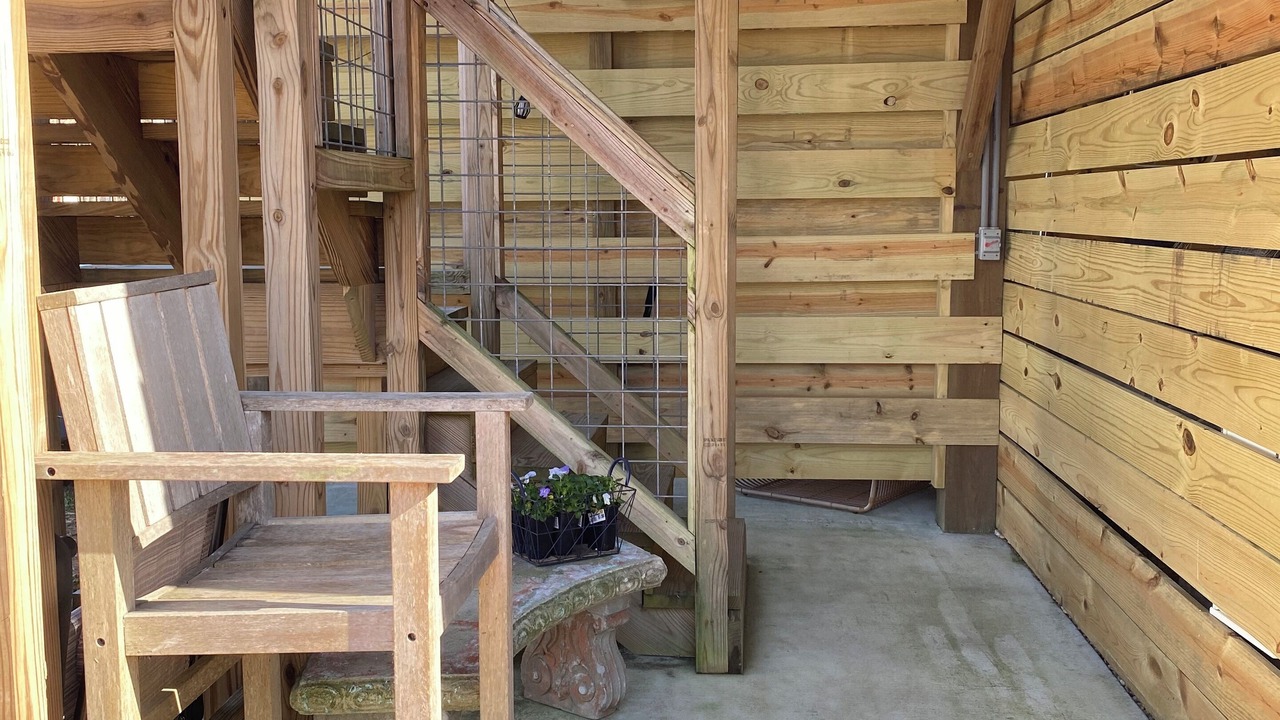 Photo of Outdoor in Lake Waccamaw