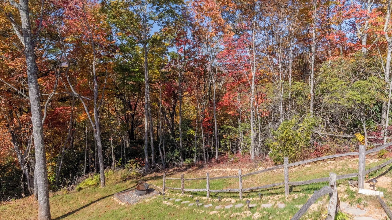 Photo of Outdoor in Topton