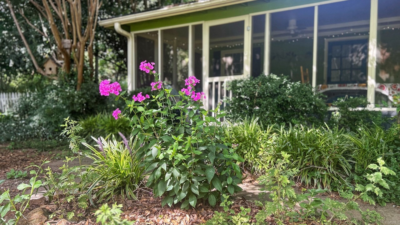 Photo of Outdoor in Winterville