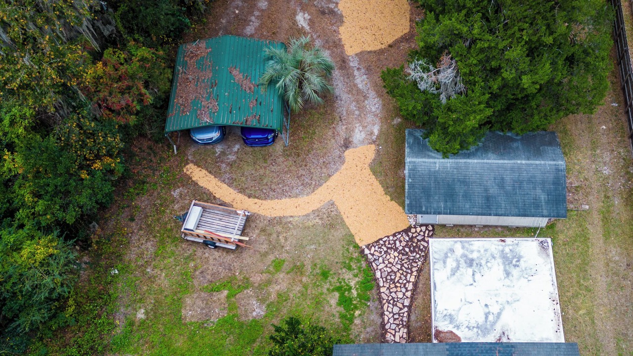 Photo of Outdoor in Savannah