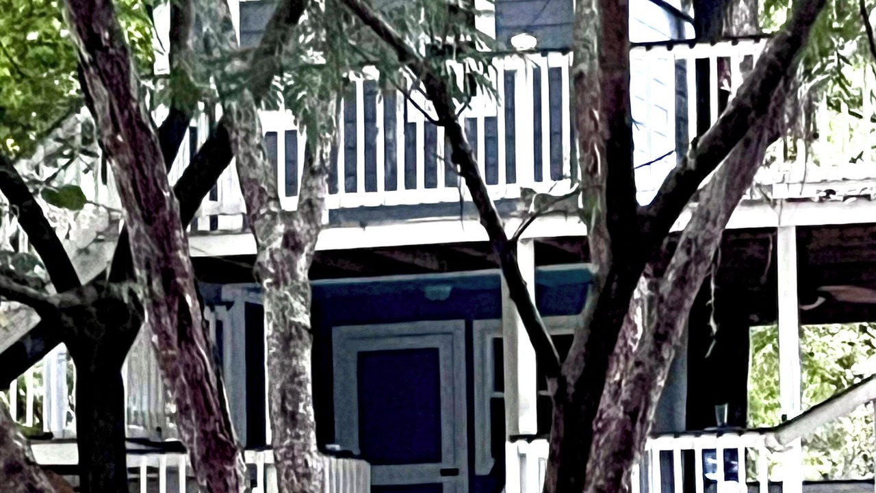 Photo of Outdoor in South Carolina Lowcountry