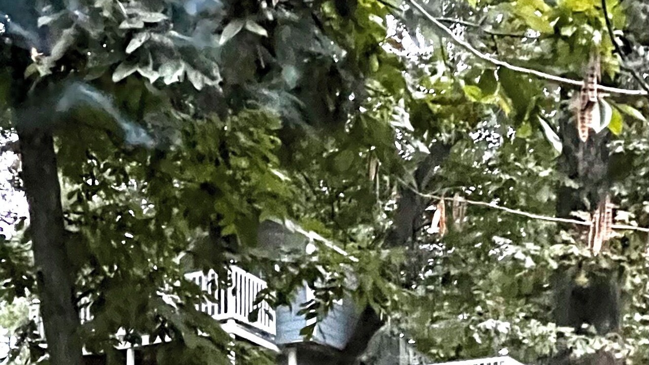 Photo of Outdoor in South Carolina Lowcountry
