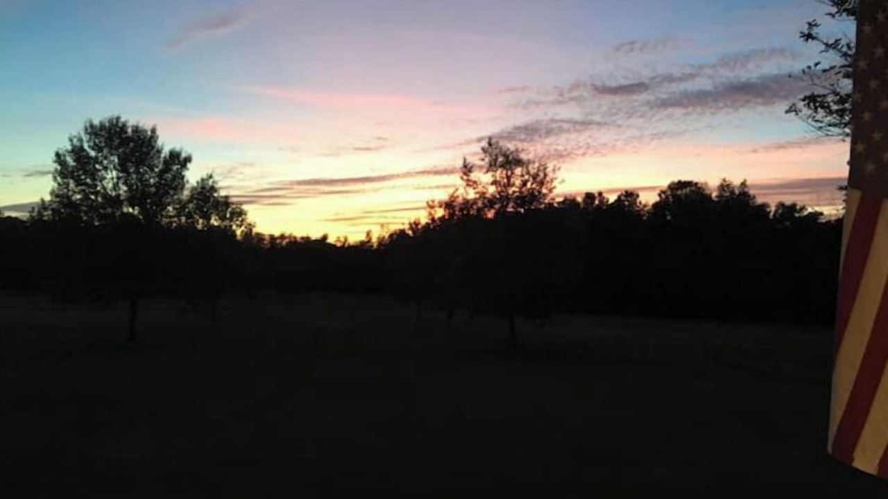 Photo of Others in Williamsburg County