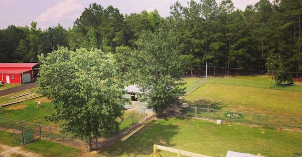 Photo of Others in Williamsburg County