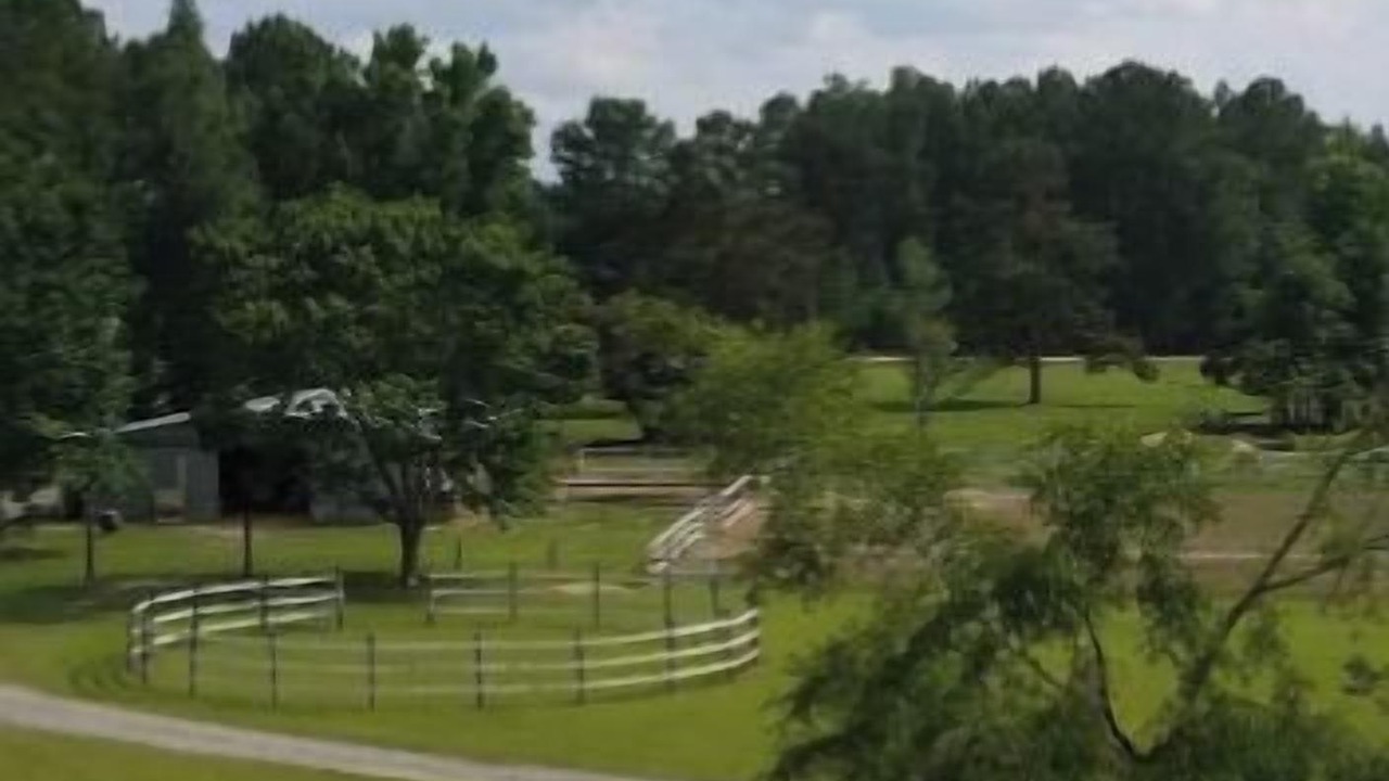 Photo of Others in Williamsburg County