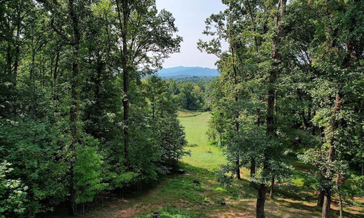 Photo of Others in Hayesville
