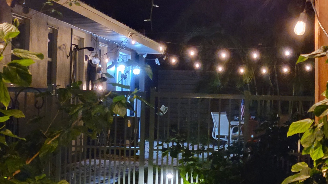 Photo of Others in Old Orchid