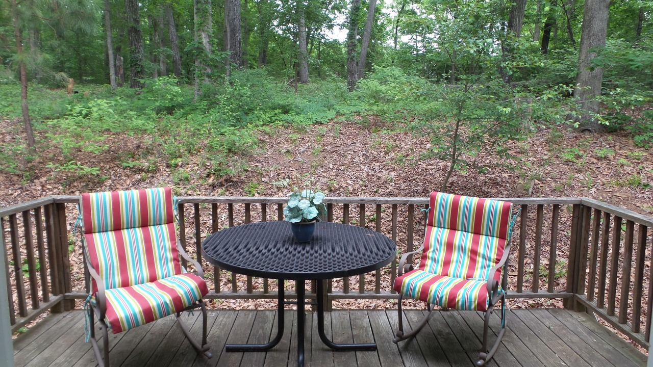 Photo of Outdoor in Bogart